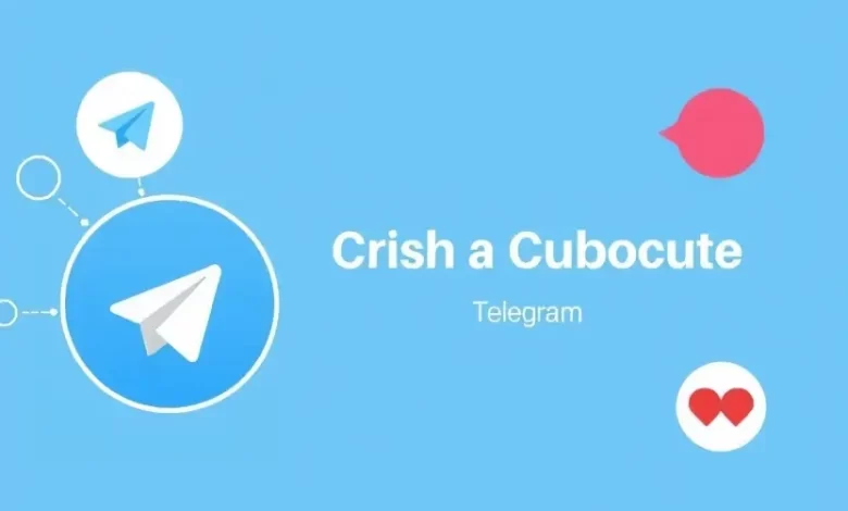Photo of Лучшие каналы для подписки в Telegram