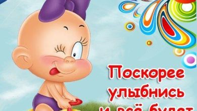 Photo of Смешные видео каждый день