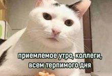 Photo of Мемы и приколы от пользователей
